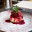 rubeomonte.shop favicon